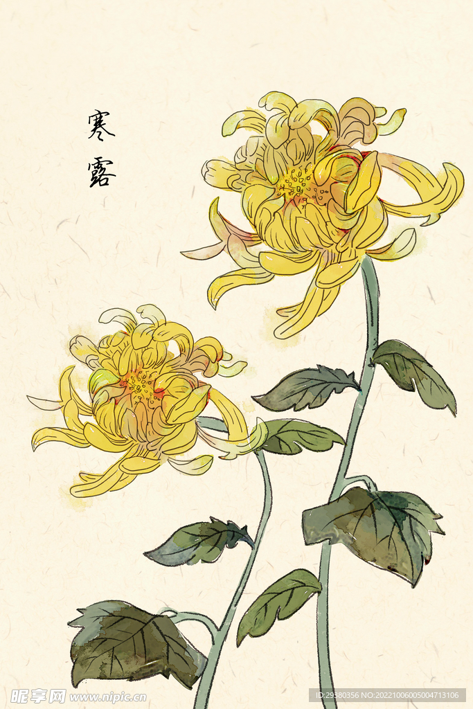 寒露24节气