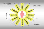 十二经络图