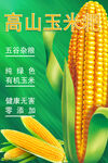 玉米粑宣传海报