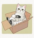 猫咪绘图