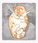 猫咪绘图
