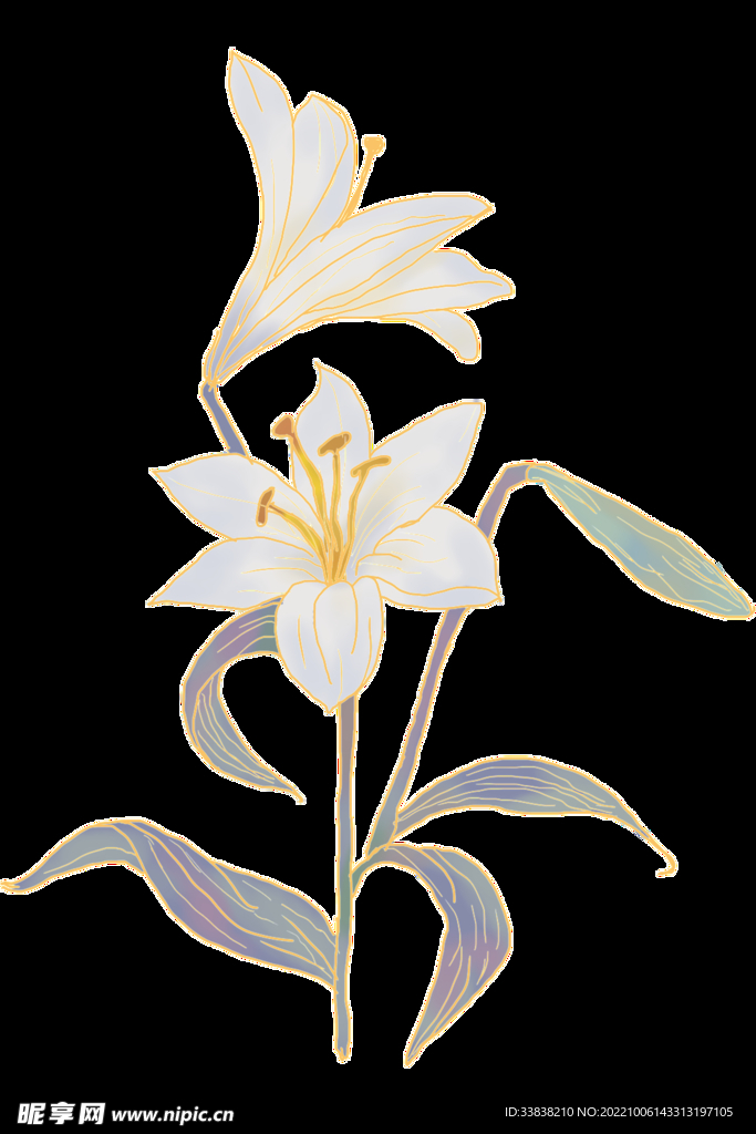 百合花