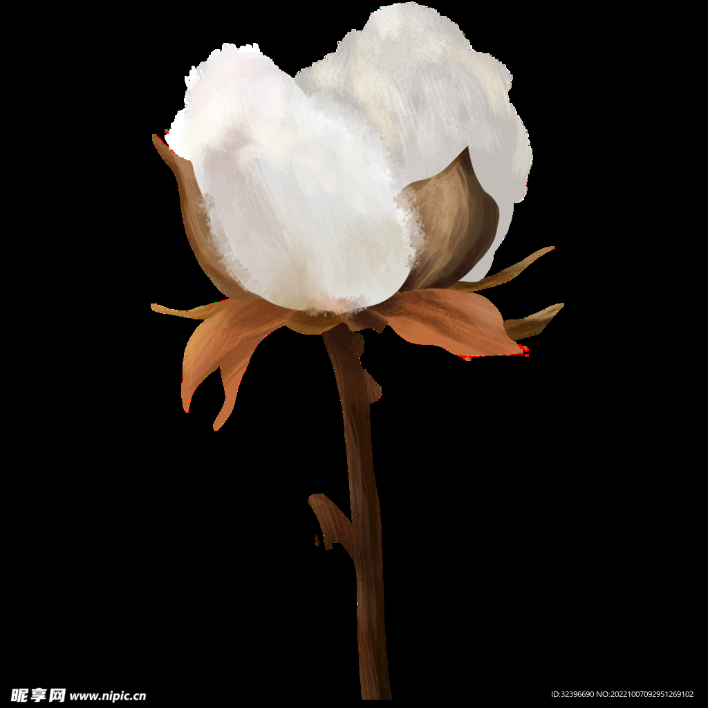 棉花