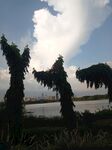 天空 风景 