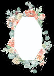 手绘花卉
