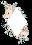手绘花卉