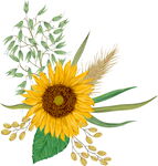 手绘花卉