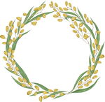 手绘花卉