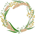 手绘花卉