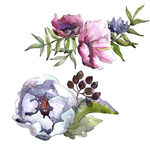 手绘花卉