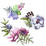 手绘花卉