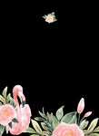 手绘花卉