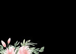 手绘花卉
