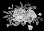 手绘花卉
