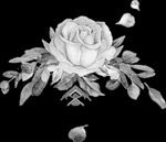 手绘花卉