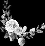手绘花卉