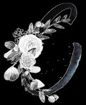 手绘花卉