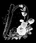 手绘花卉