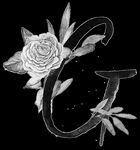 手绘花卉