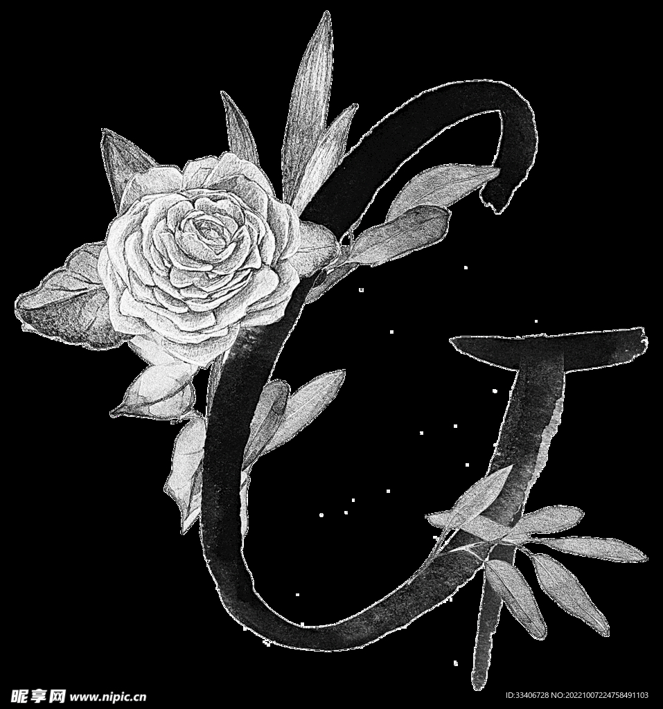 手绘花卉