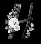 手绘花卉