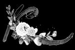 手绘花卉
