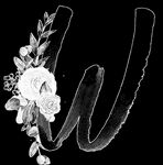 手绘花卉