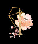花卉字母