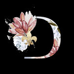 花卉字母