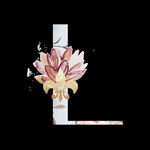 花卉字母