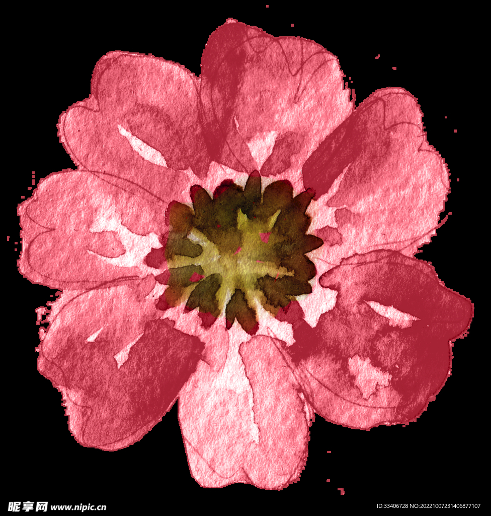 手绘花卉