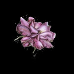 无缝花卉