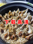 盐焗花螺