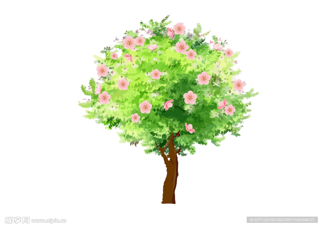 开满花朵的大树