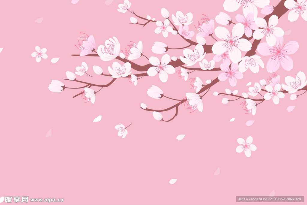 粉色桃花