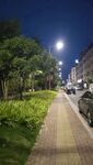 公园夜景