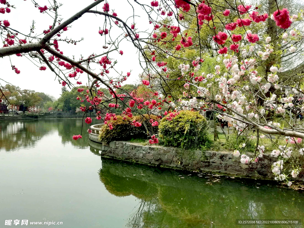 无锡蠡园