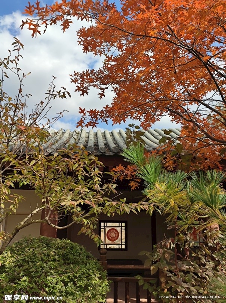 横山寺红叶