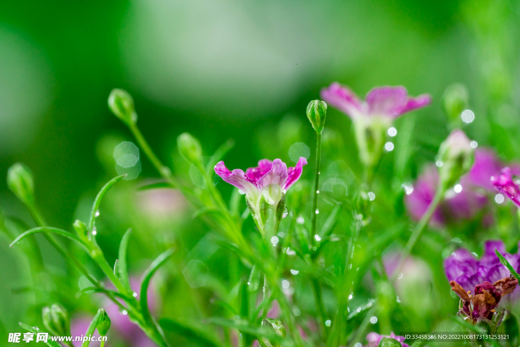 雨水节气