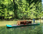 金湖水上森林公园竹筏