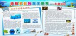 海洋知识展板