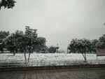 雪景