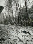 下雪了