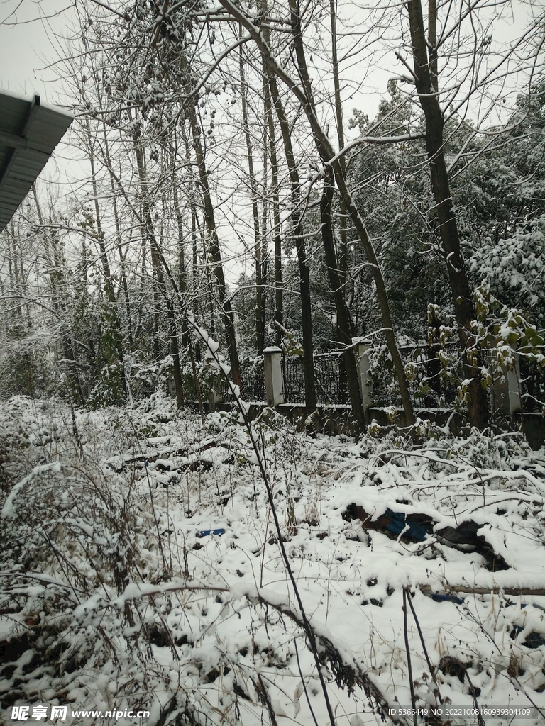 下雪了