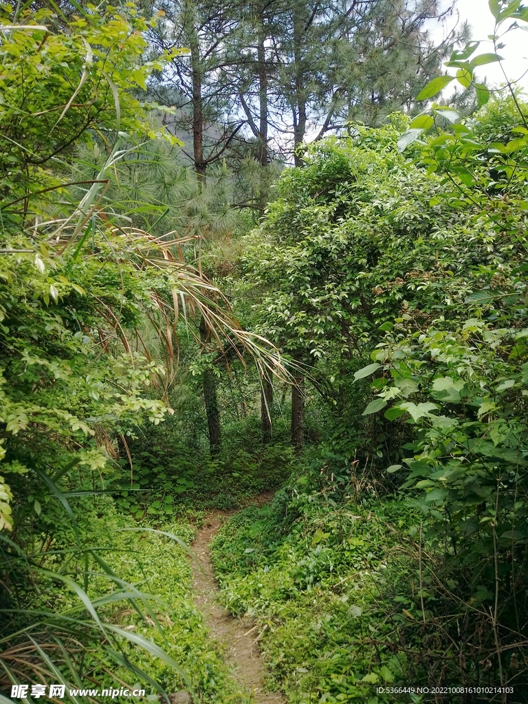 风景