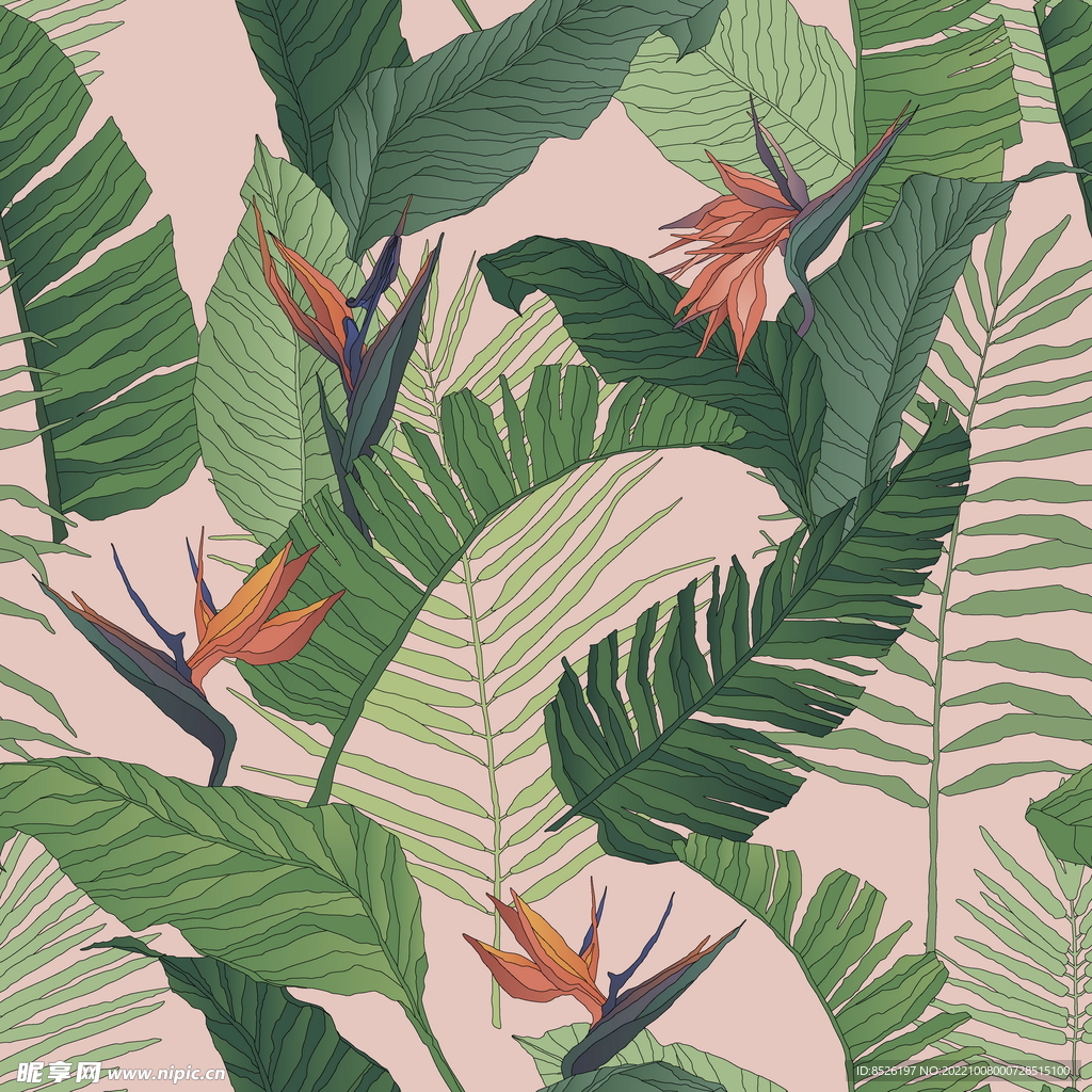 手绘花卉