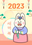 兔年 