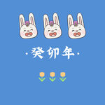 兔年 