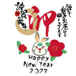 兔年素材 