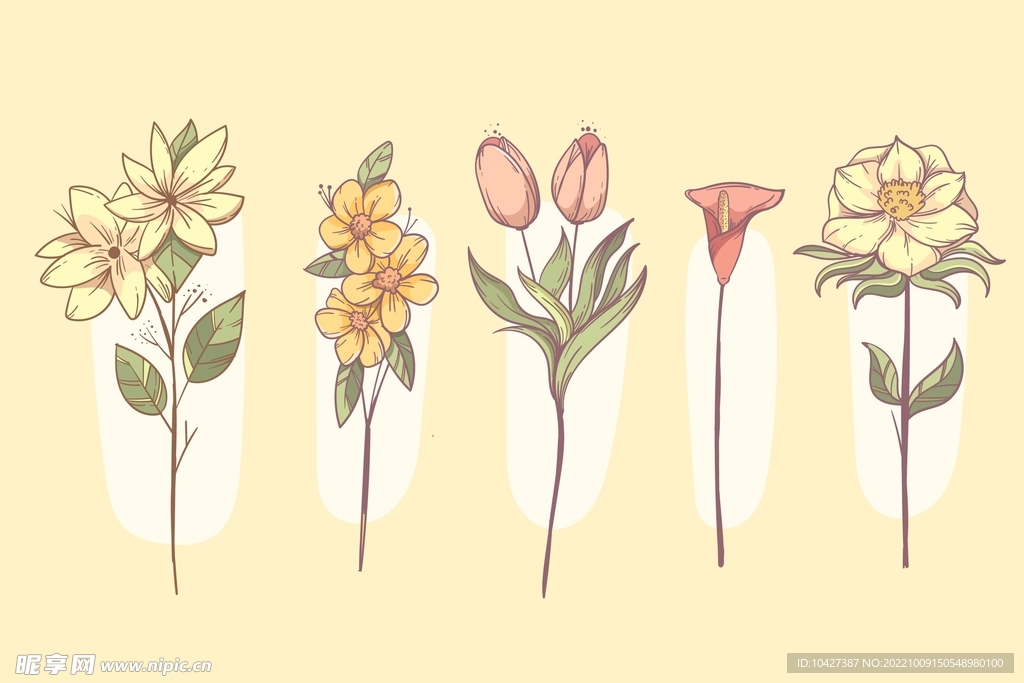 卡通花